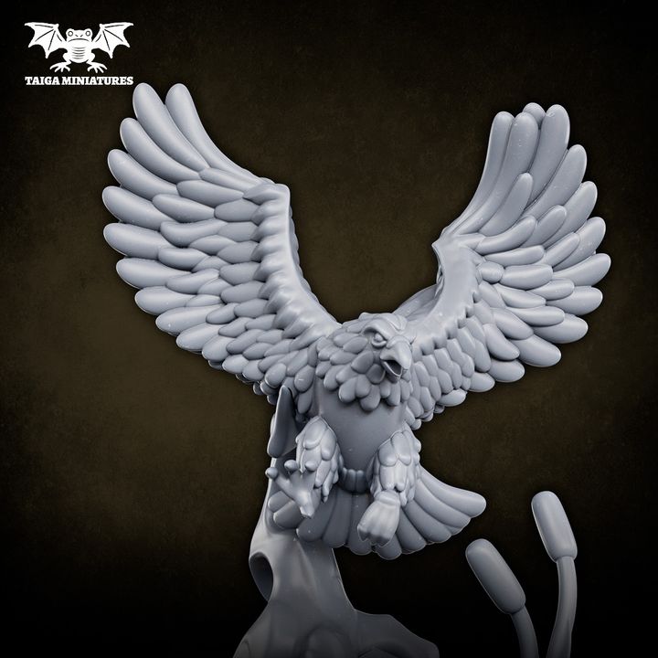 720X720-single model_ view 4
