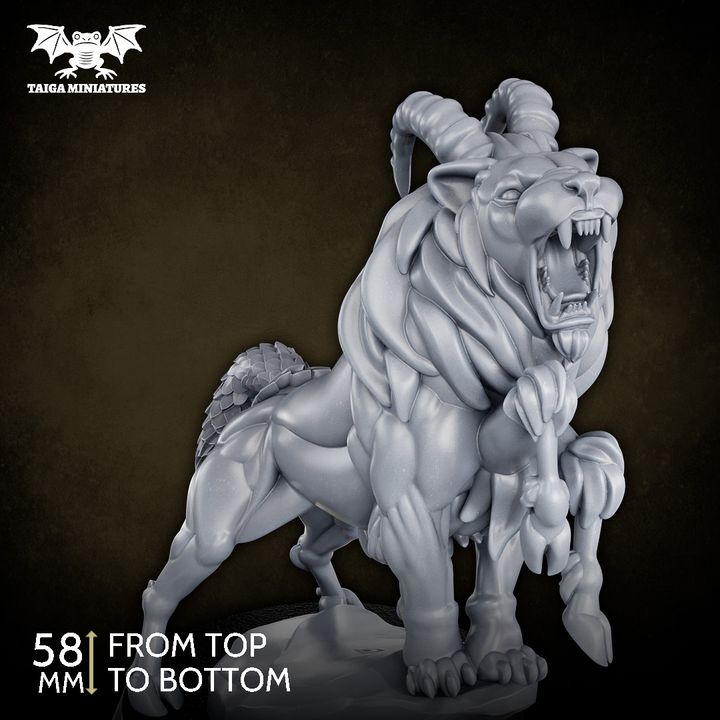 720X720-single model_ view 4
