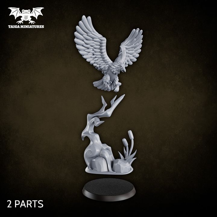 720X720-single model   копия 3-2 view 2