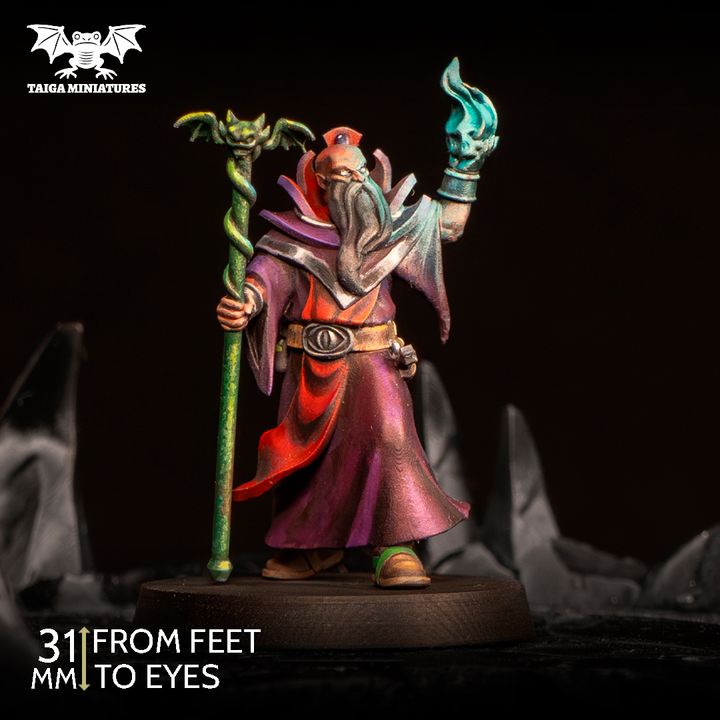 WarpLand miniature - Warlock - 31mm Resin Miniature included in WarpLand Adventure Party – Battle Pack