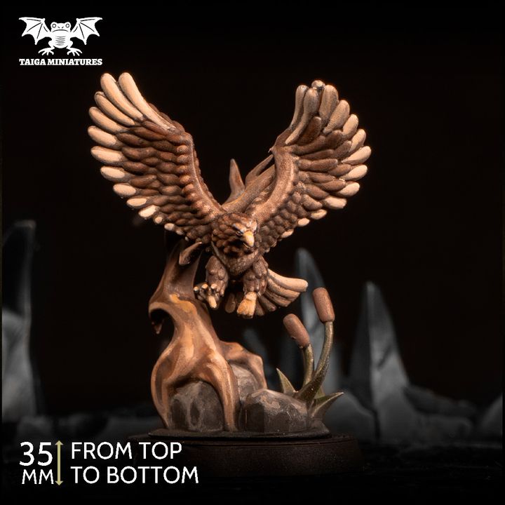 720X720-single model   копия 3 view 3