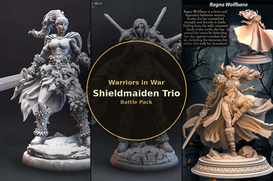 Shieldmaiden Trio Battle Pack, 3 resin miniatures from Artifex Fabricatum