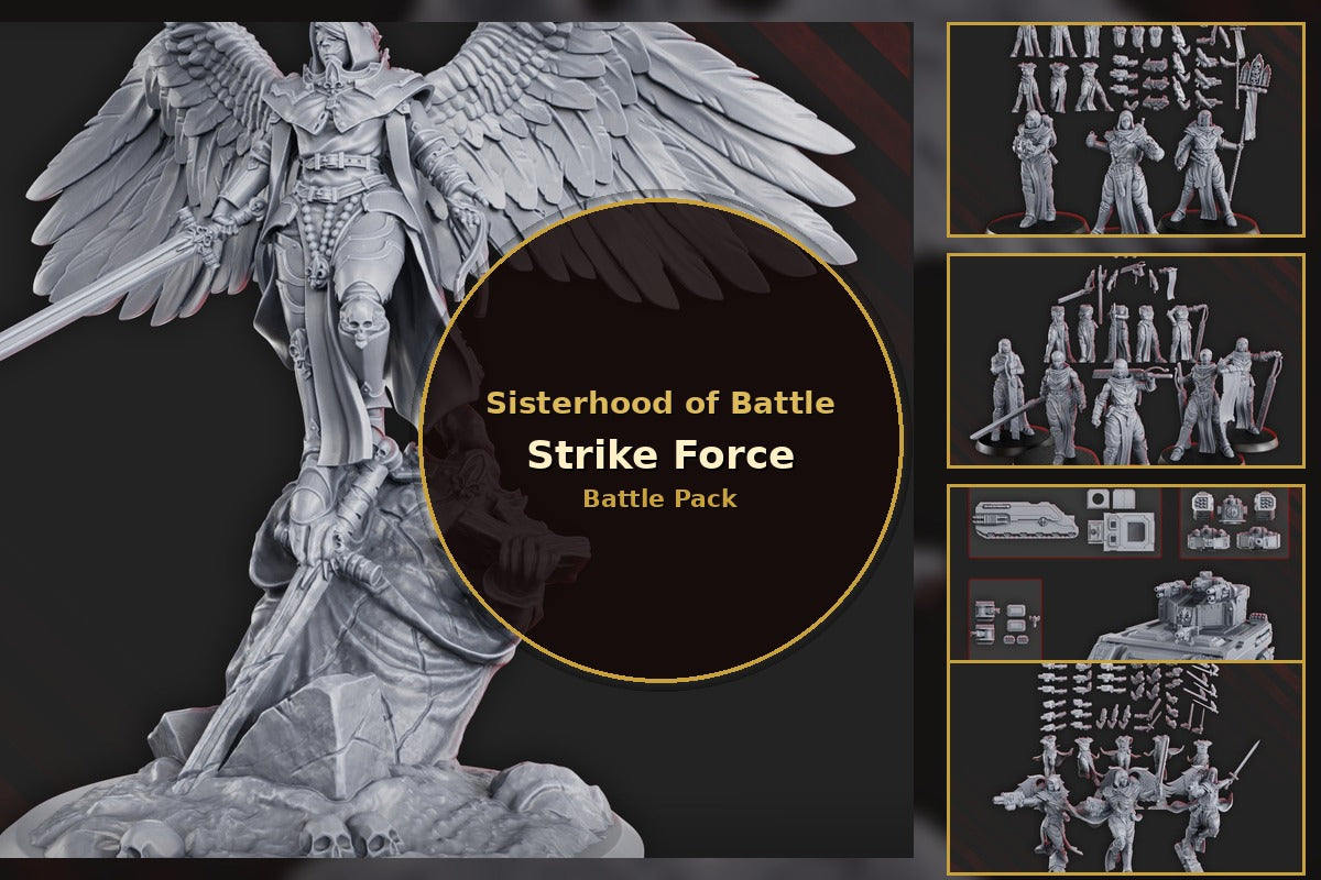 Sisterhood of Battle: Strike Force Battle Pack