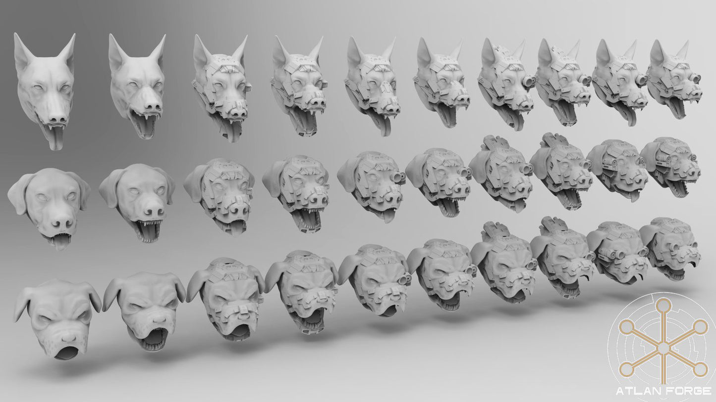 Dogs of War handler and cyber-armoured war hound