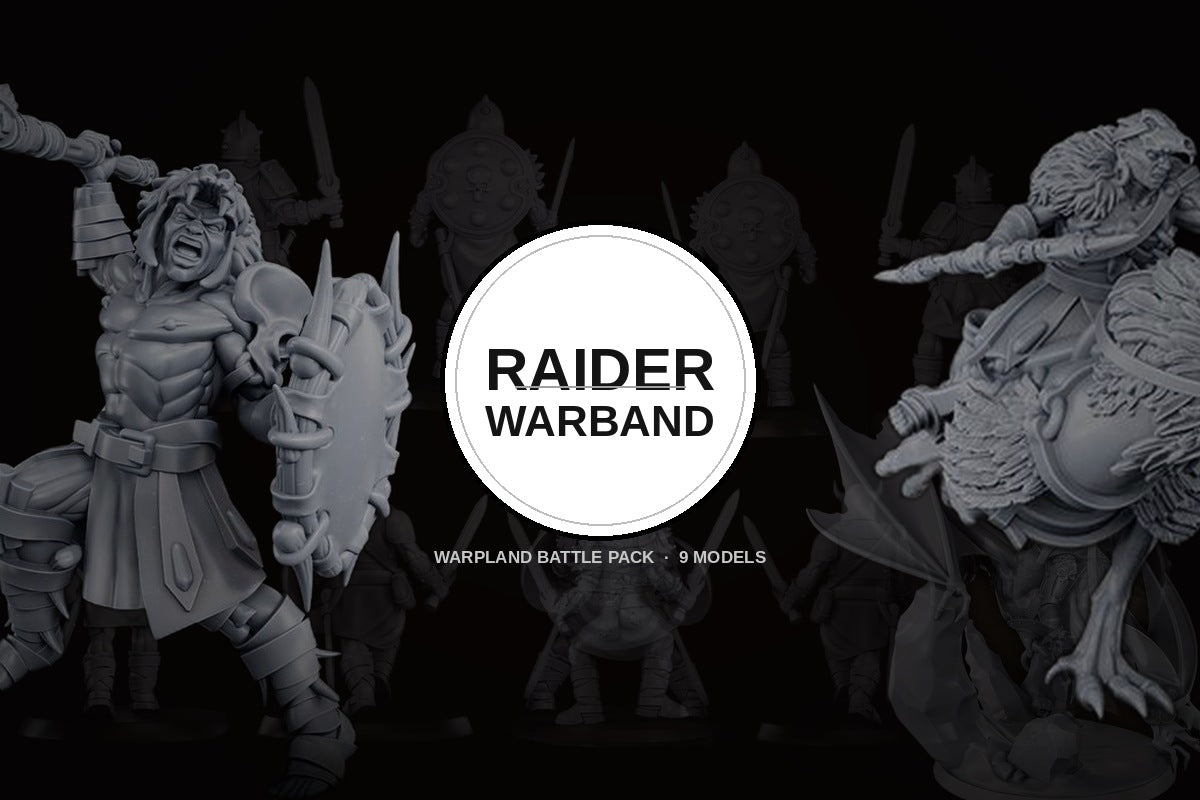 WarpLand miniature Raider Warband battle pack 9 models